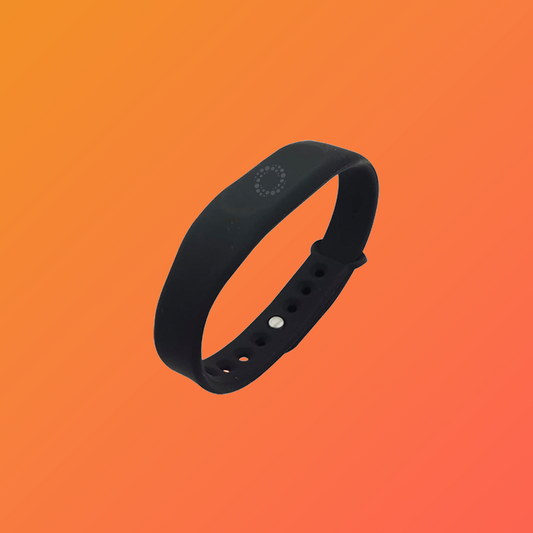 Smart Wristband