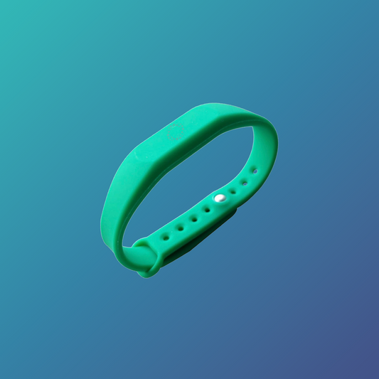 Smart Wristband